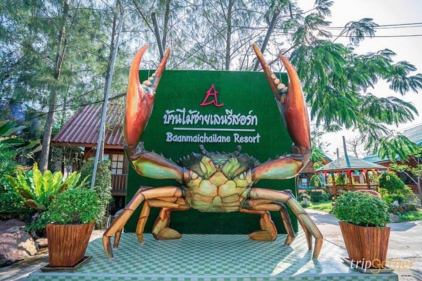 สามารถจองการท่องเที่ยวได้โทร.0656344520